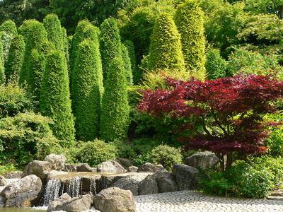 Pflanzen  fuer eine schoene Gartenstimmung